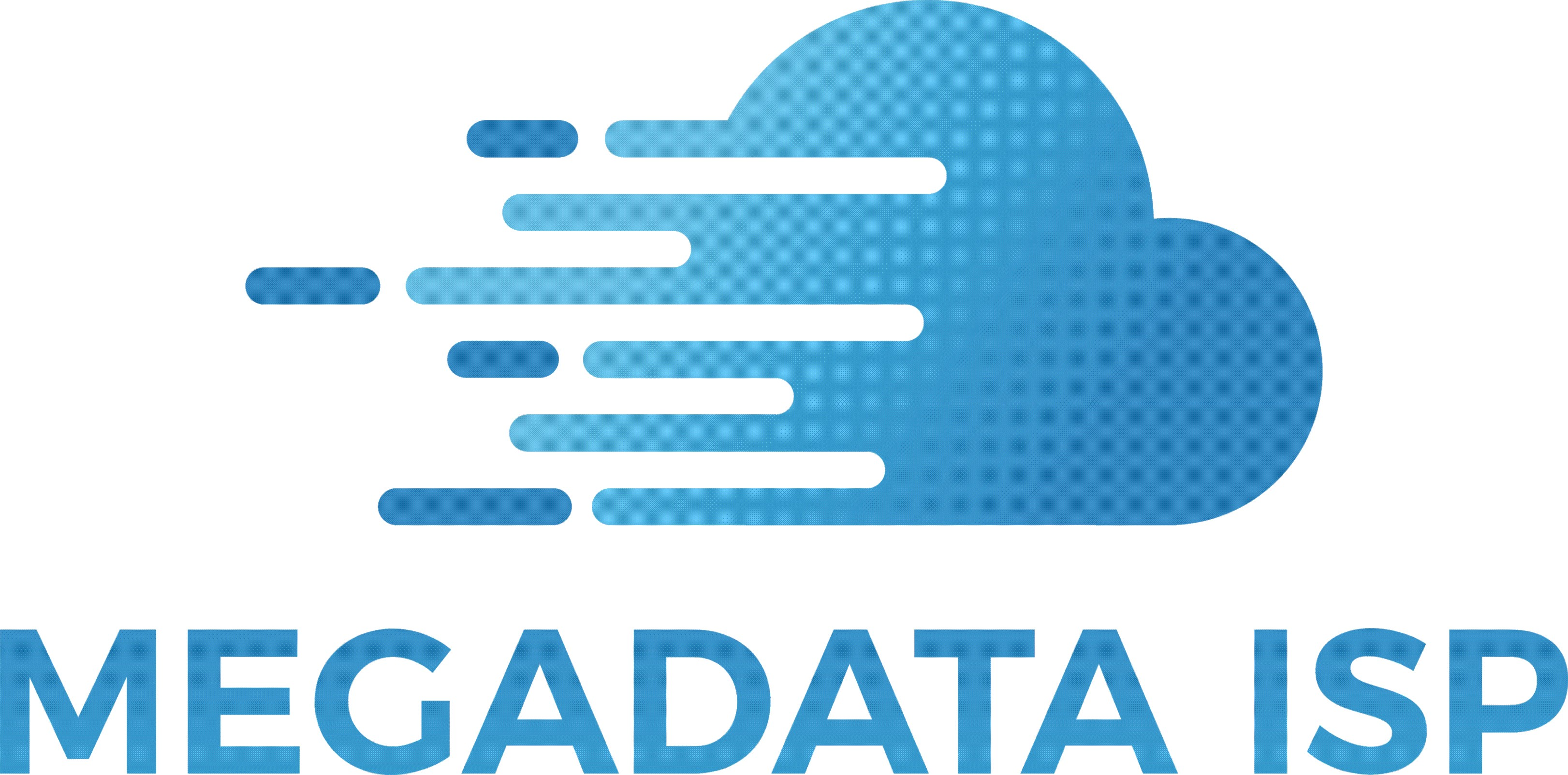 megadata logo